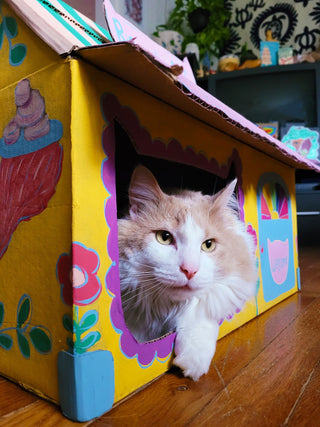 Upcycled Cat House
